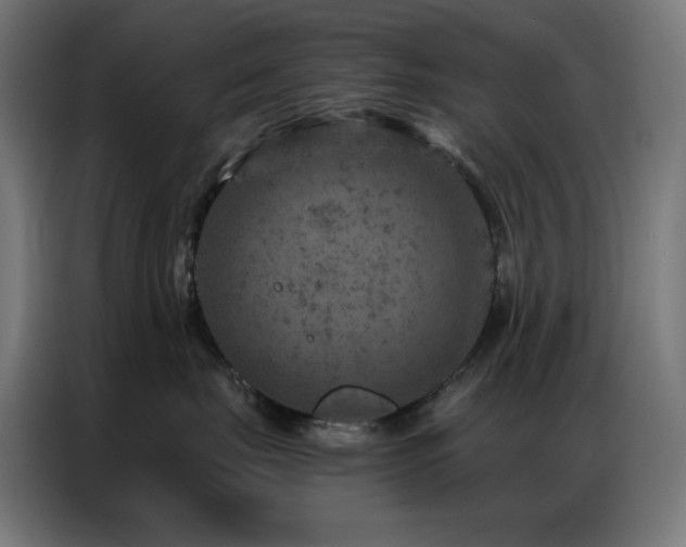 X0000087000671200704161525
