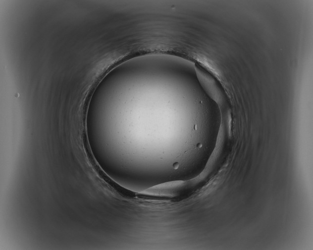 X0000087000673200704161524