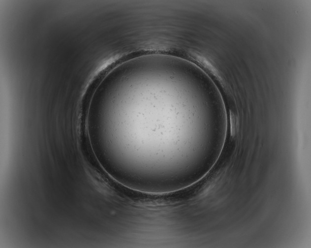 X0000087000675200704161524