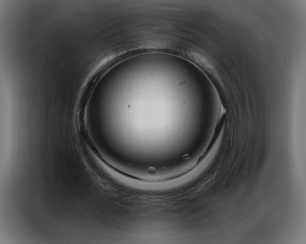 X0000087000676200704161524