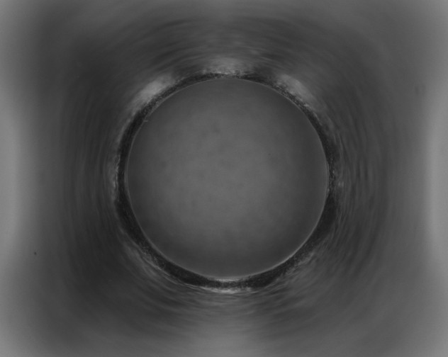 X0000087000679200704161524