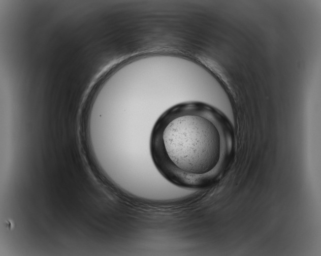 X0000087000680200704161524