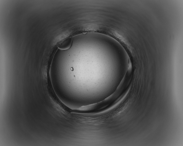 X0000087000681200704161524