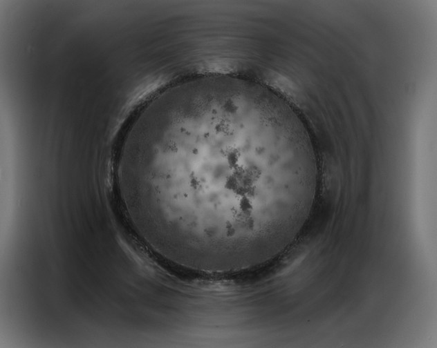 X0000087000683200704161524
