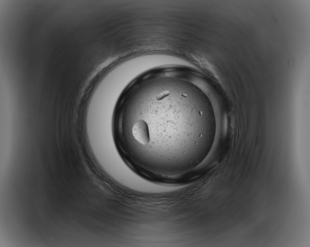 X0000087000684200704161524