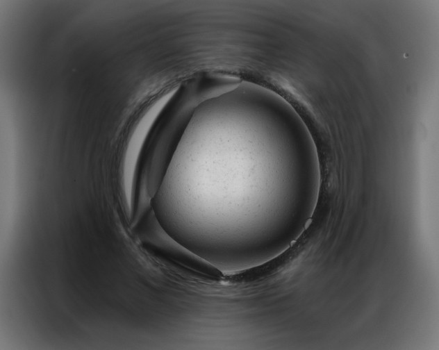 X0000087000685200704161524