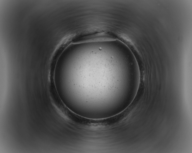 X0000087000686200704161524