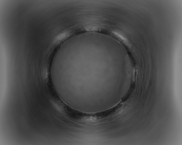X0000087000687200704161524