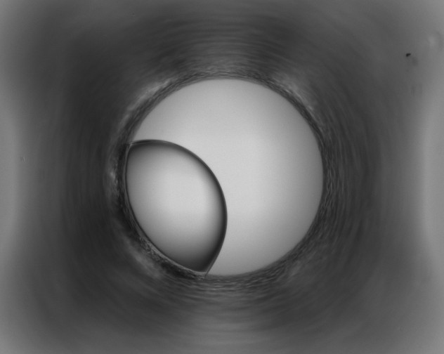 X0000087000688200704161524