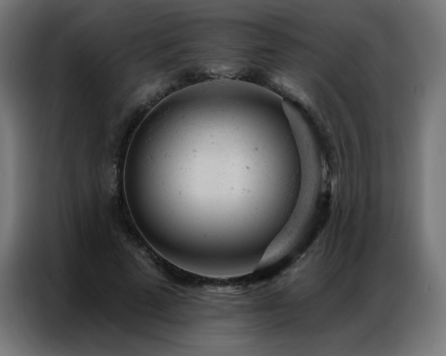 X0000087000689200704161524