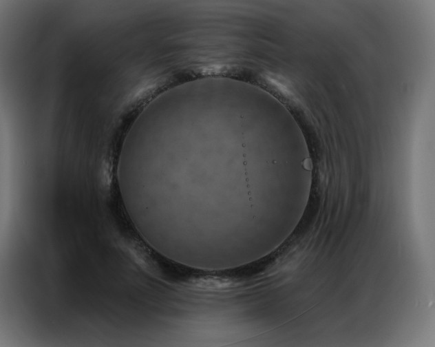 X0000087000691200704161524