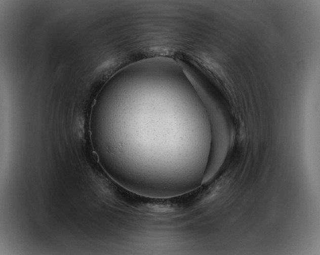 X0000087000693200704161524
