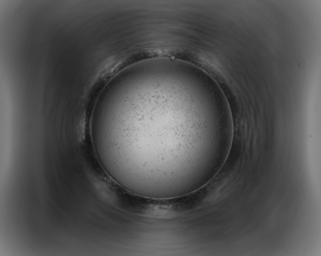 X0000087000694200704161524