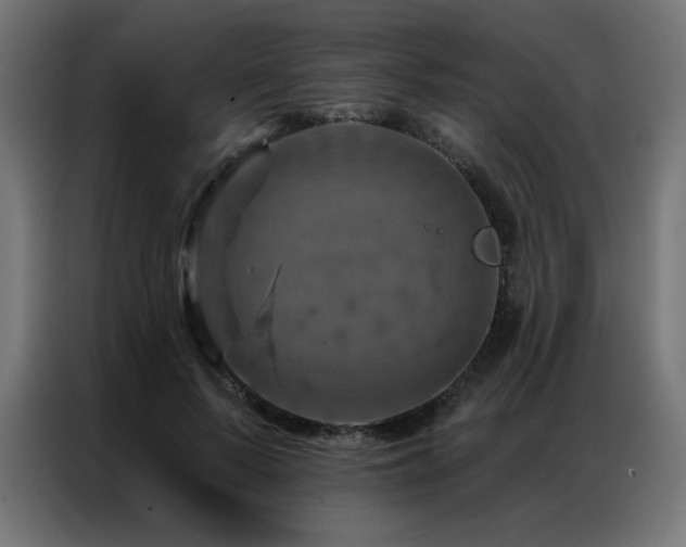 X0000087000695200704161524