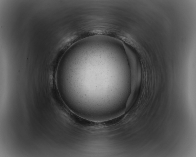 X0000087000696200704161524
