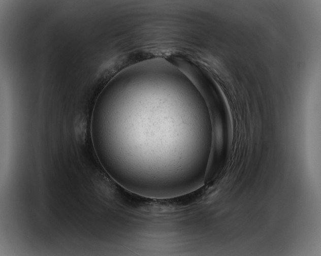 X0000087000697200704161524