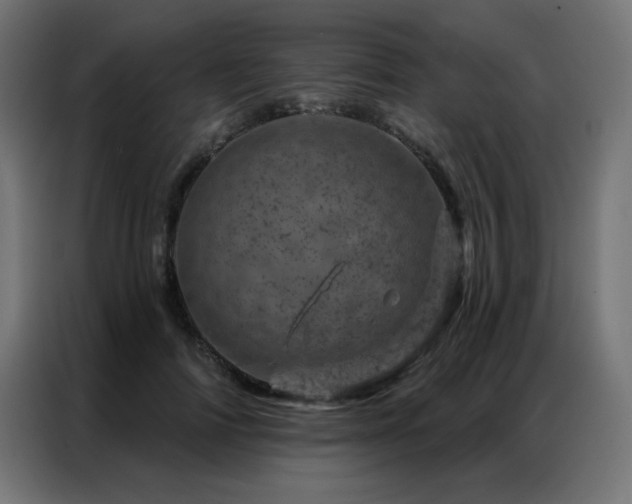 X0000087000698200704161524