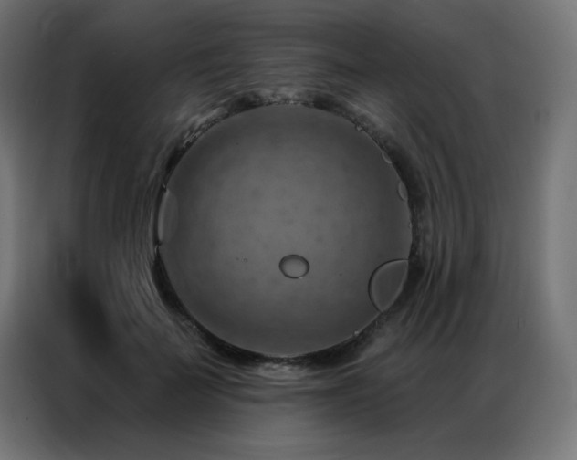 X0000087000699200704161524