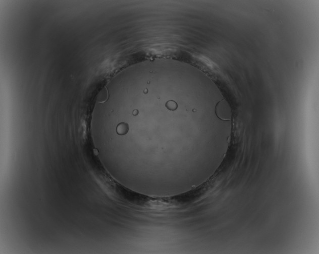 X0000087000703200704161524