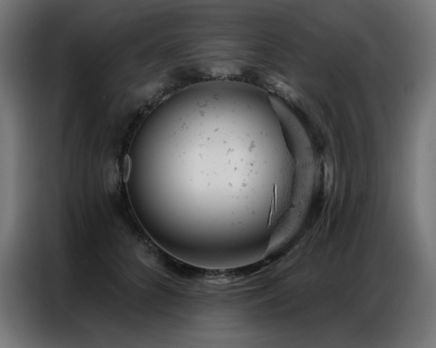 X0000087000704200704161524