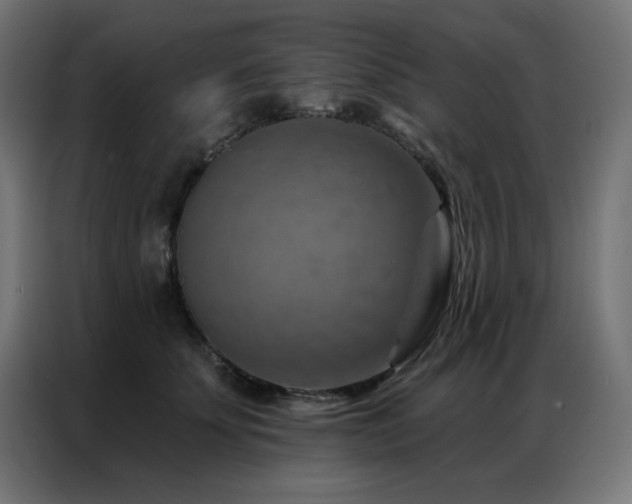 X0000087000707200704161524