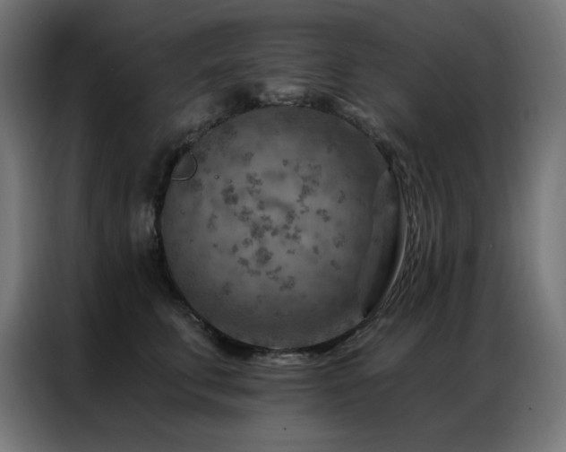 X0000087000711200704161524