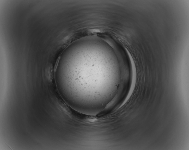 X0000087000712200704161524