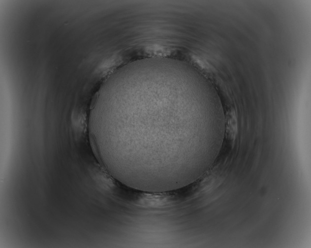 X0000087000713200704161524