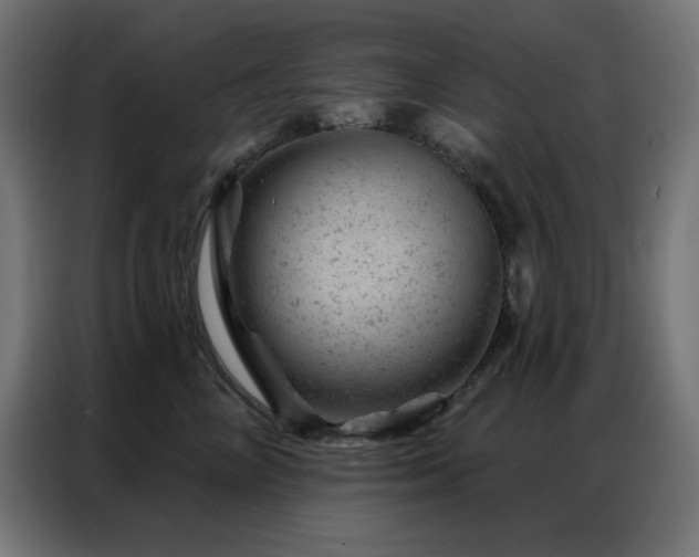 X0000087000714200704161524