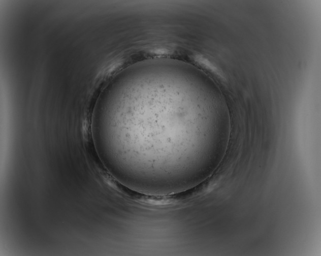 X0000087000720200704161524