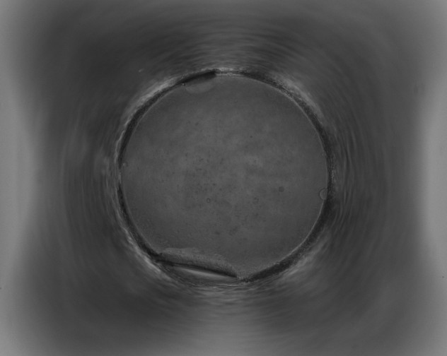 X0000087000721200704161523