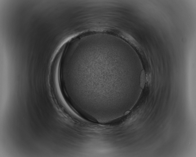 X0000087000724200704161523
