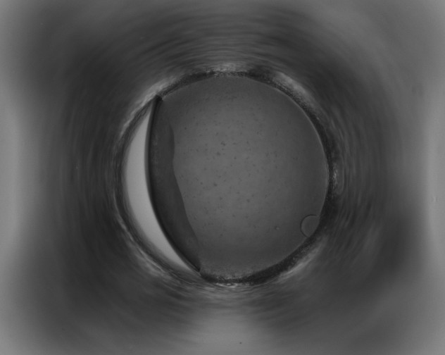 X0000087000725200704161523