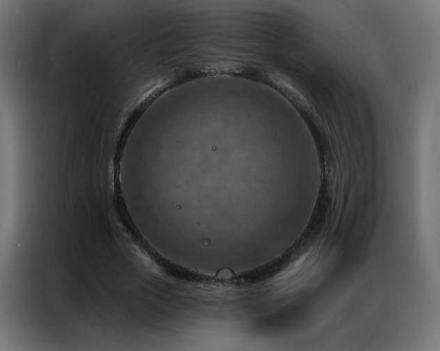 X0000087000729200704161523