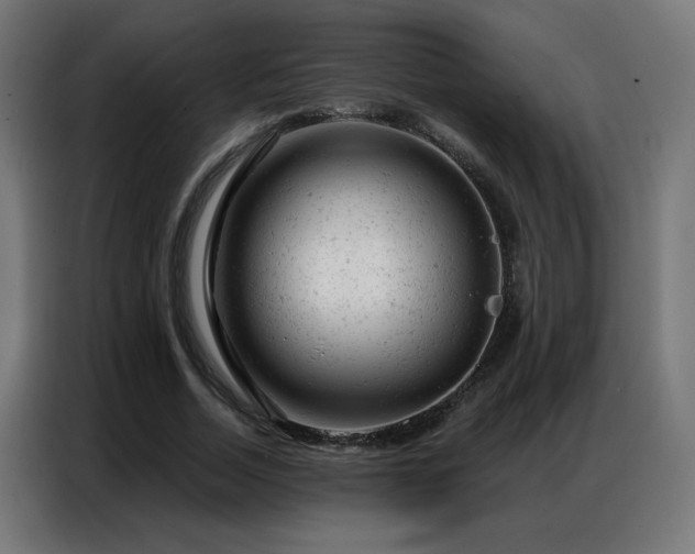 X0000087000730200704161523