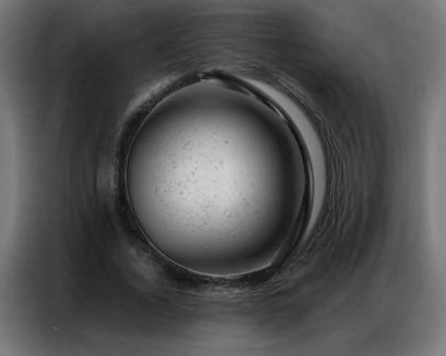 X0000087000732200704161523