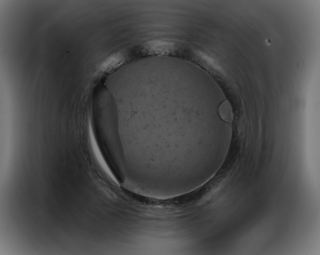 X0000087000737200704161523