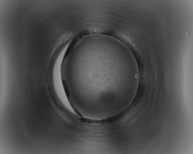 X0000087000738200704161523