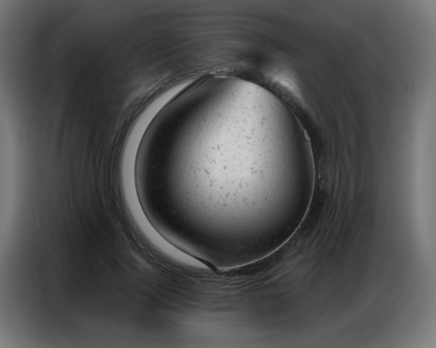 X0000087000740200704161523