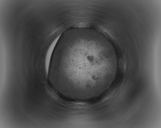 X0000087000741200704161523