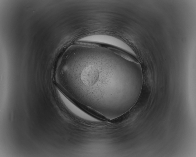 X0000087000742200704161523