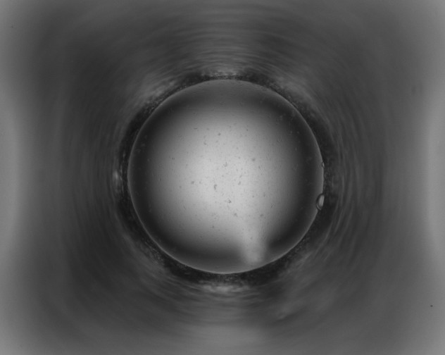 X0000087000743200704161523
