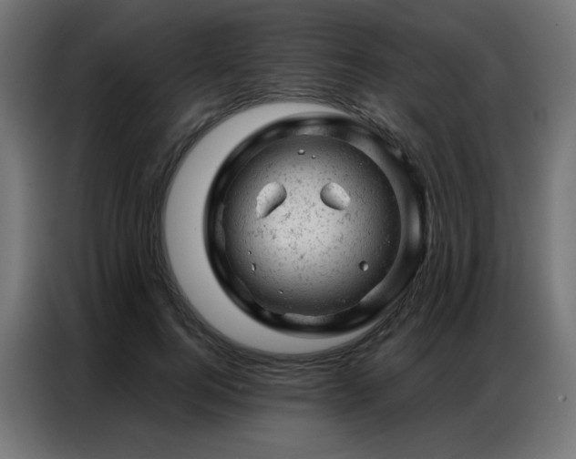 X0000087000744200704161523