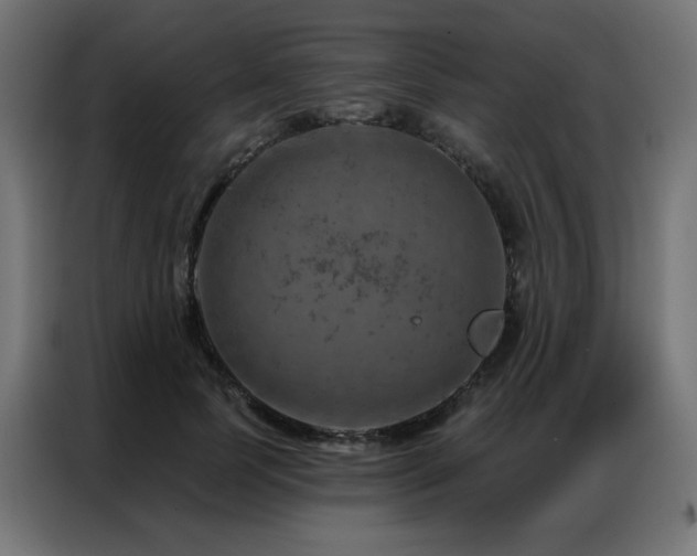 X0000087000745200704161523