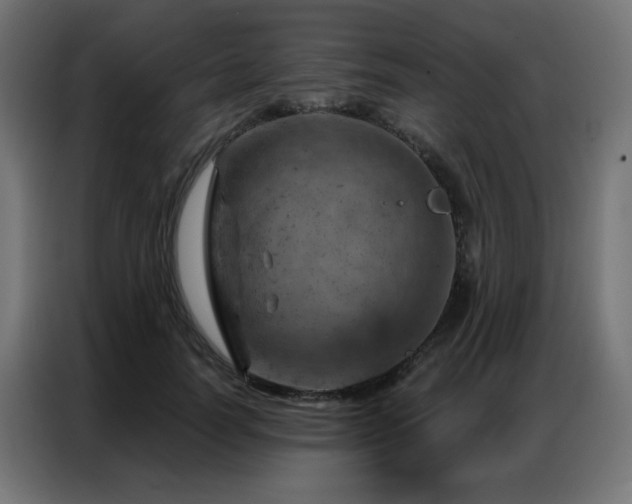 X0000087000746200704161523