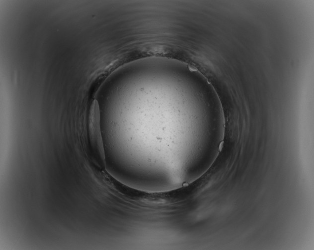 X0000087000747200704161523