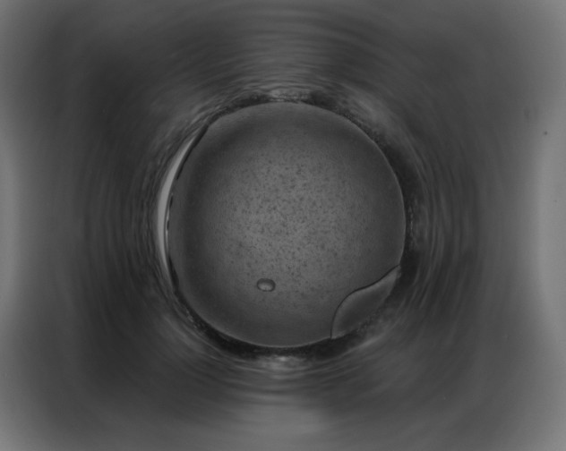 X0000087000748200704161523