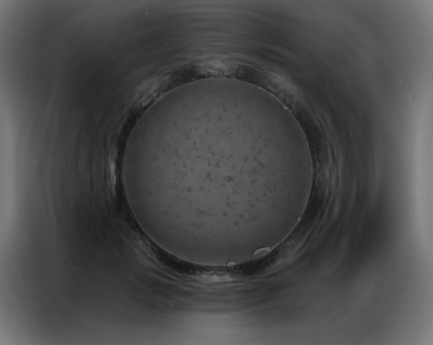 X0000087000749200704161523