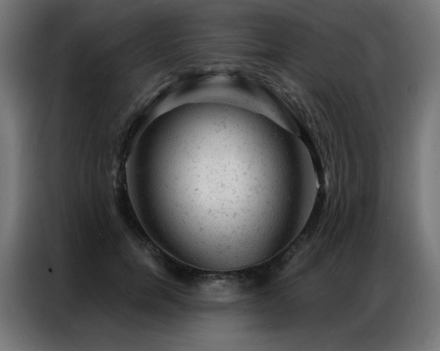 X0000087000750200704161523