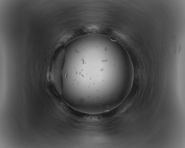 X0000087000751200704161523